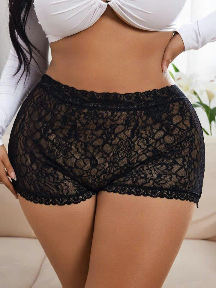 Sexy Sheer Lace Briefs 1061